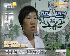 《第一新闻》采访：西红柿中为何长豆牙